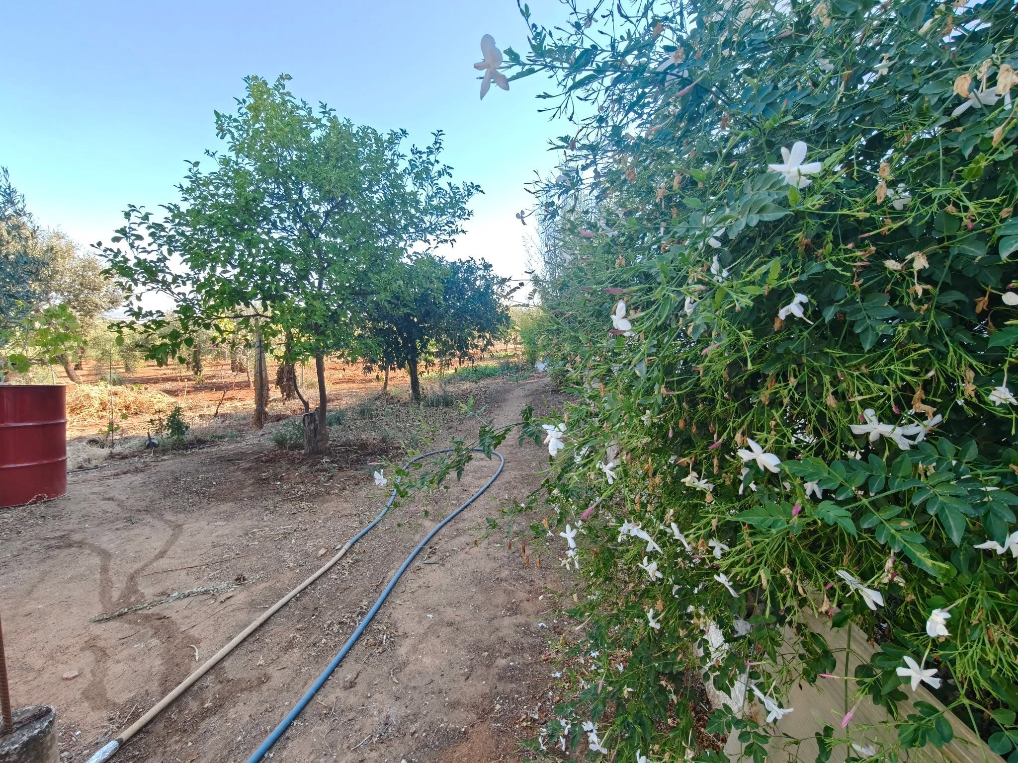 CASA CON PISCINA RUSTICA EN VENTA  miniatura 2