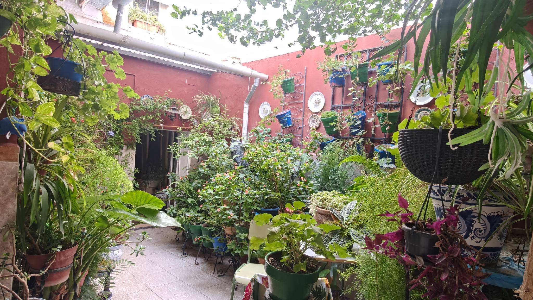 CASAS EN VENTA miniatura 2