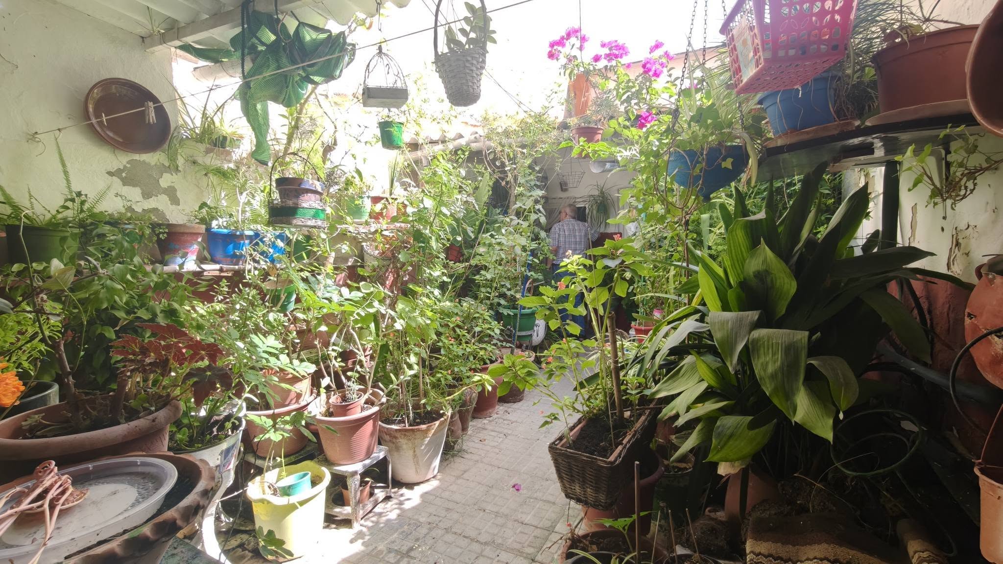 CASAS EN VENTA miniatura 8