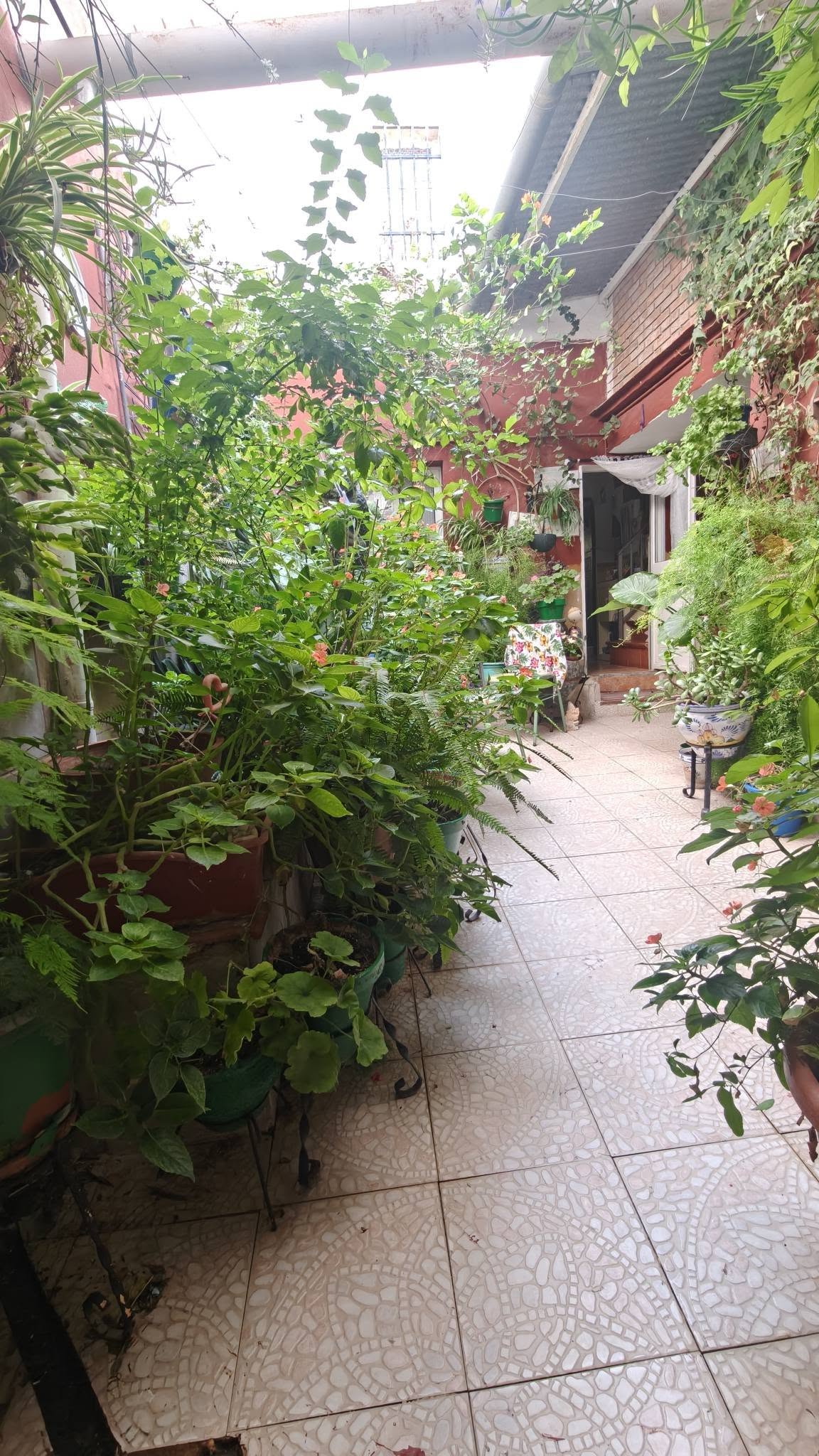 CASAS EN VENTA miniatura 3