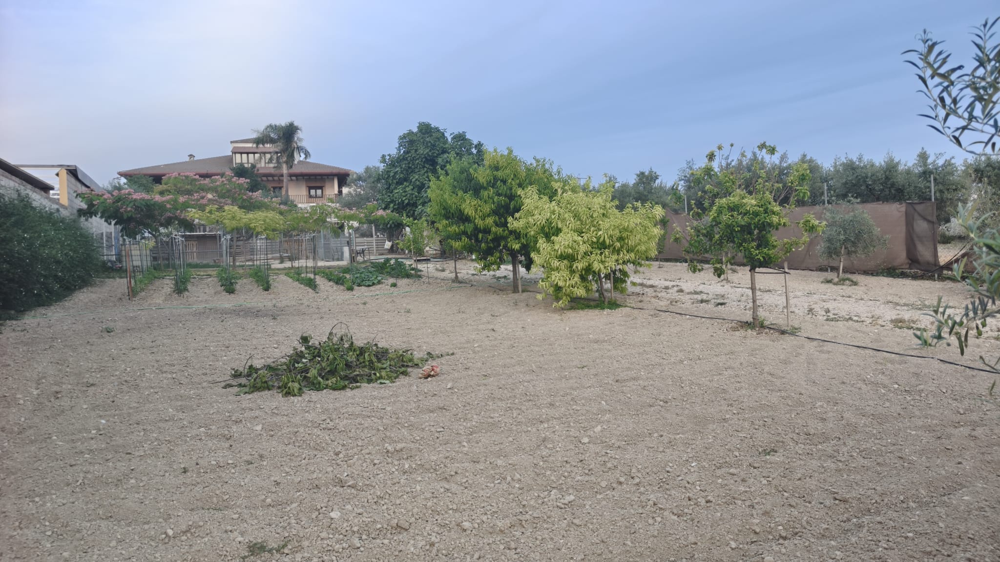 PARCELA RUSTICA EN VENTA miniatura 3