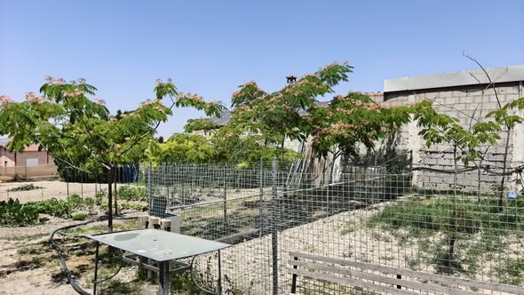 PARCELA RUSTICA EN VENTA miniatura 4